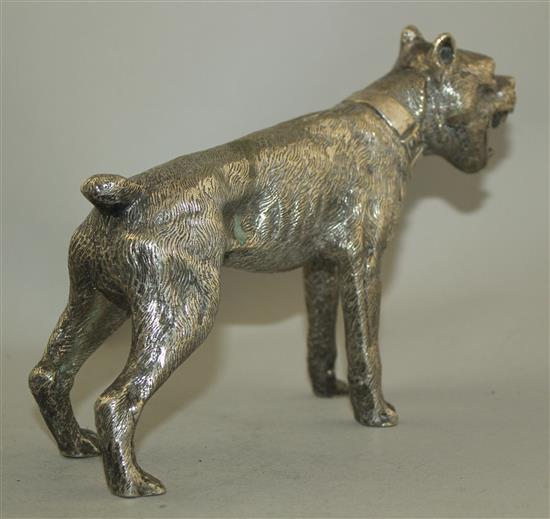 A silvered bronze figure of a growling mastiff, 8.5in.